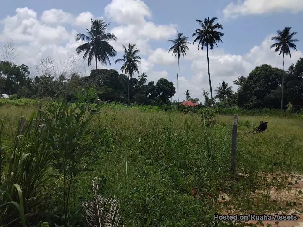 1 acre for sale, Mataya - Bagamoyo image 6