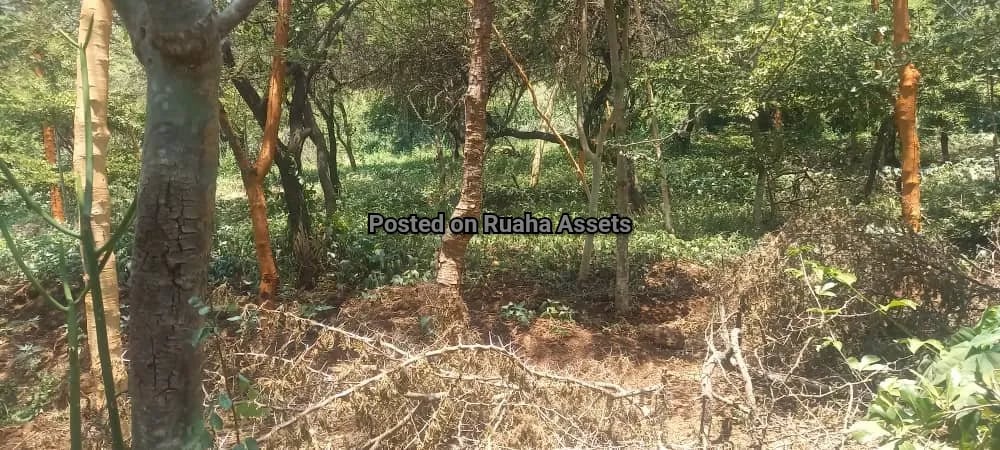 Big Plot with a House for Sale Njiro Arusha image 15