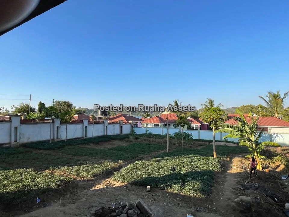 LAKESIDE PROPERTY FOR SALE – LUCHELELE MWANZA TSHS. 150,000,000 image 7