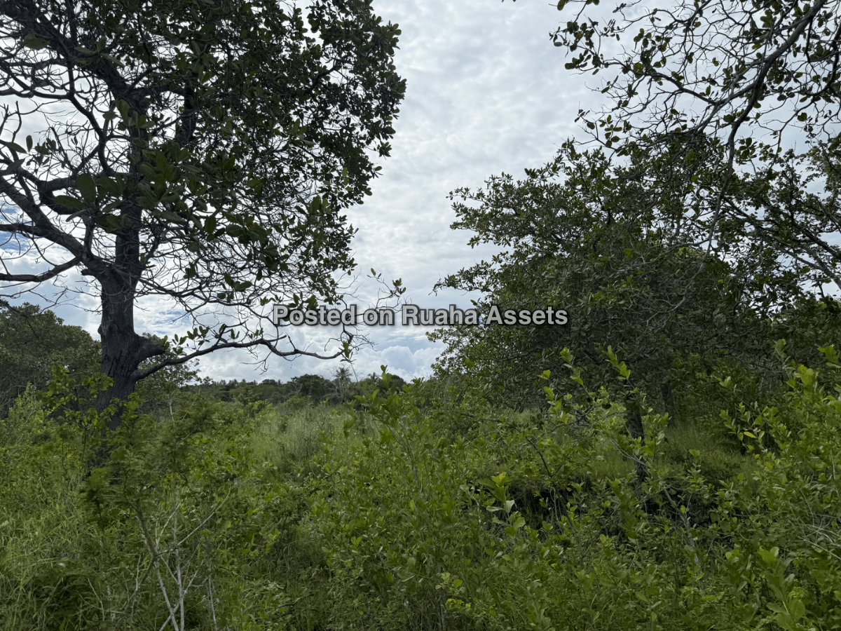 A 10 acre plot for sale at Mkuranga image 6
