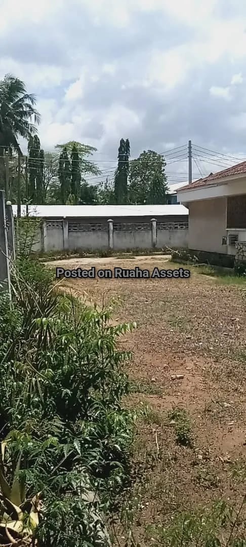 Nyumba corner plot inauzwa Victoria image 2