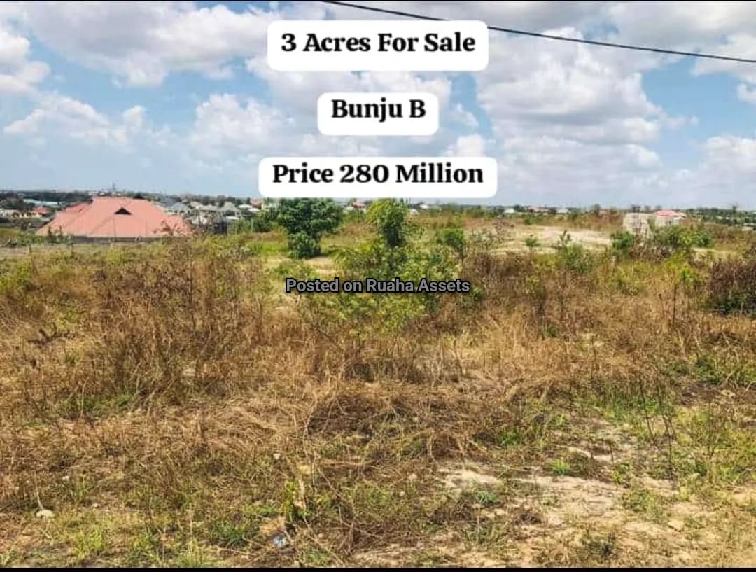 3 Acres for Sale at Mbweni B image 3
