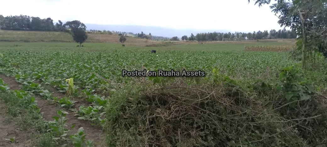 8 Acre Plot for Sale at Ngaramtoni  image 2