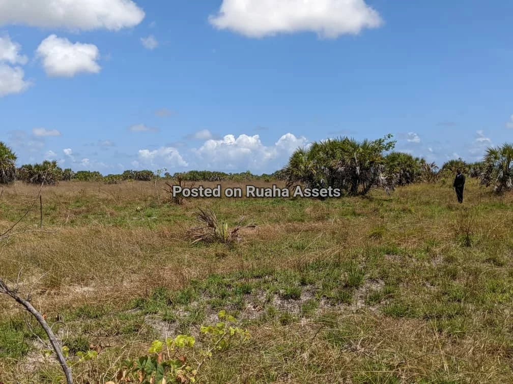 Surveyed Plot for Sale at Kimbiji Kigamboni image 4