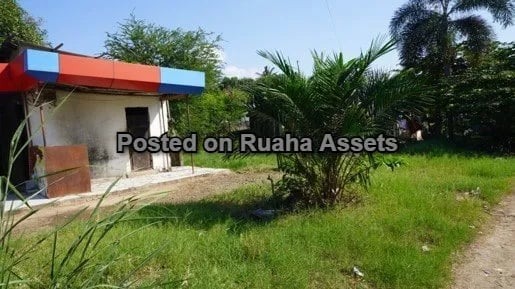 Art Gallery For Sale image 8