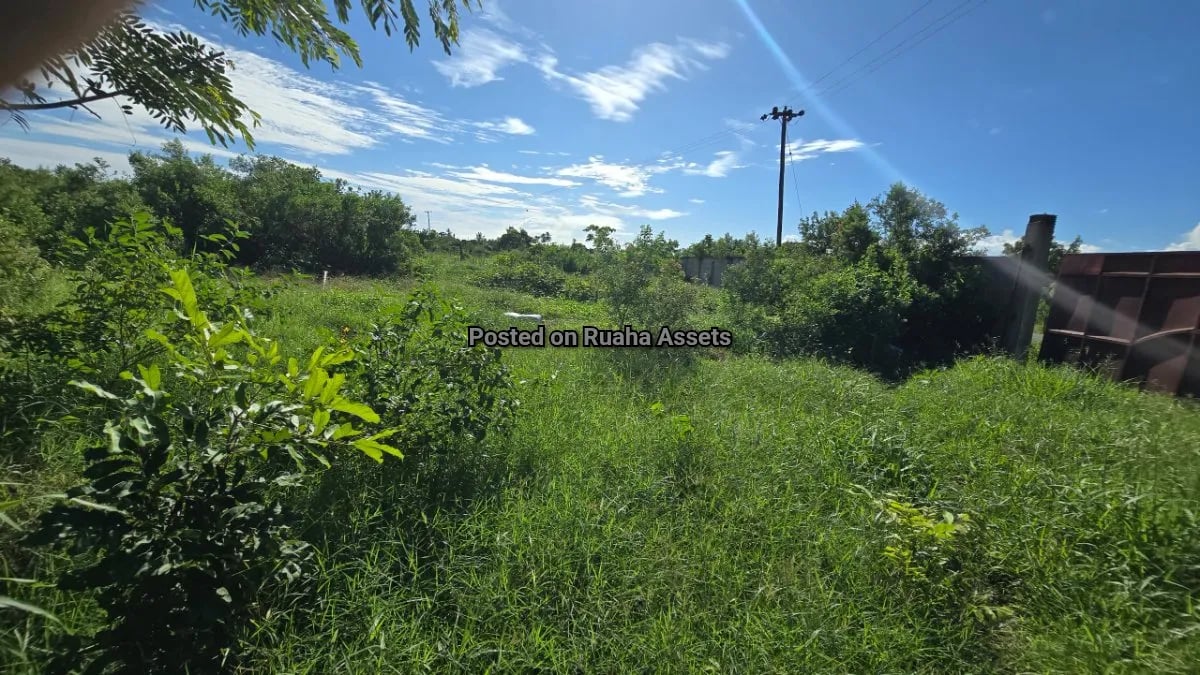 Plot for Sale at Chamazi  image 7