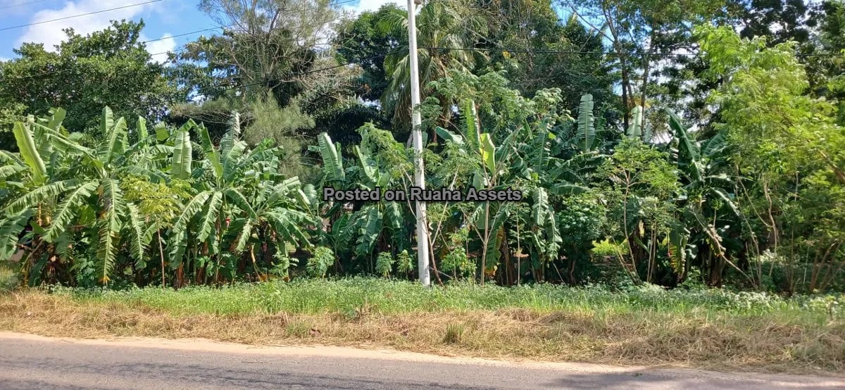 7 Acres of Mixed plots for Sale at Mvuti, Dar es Salaam image 18