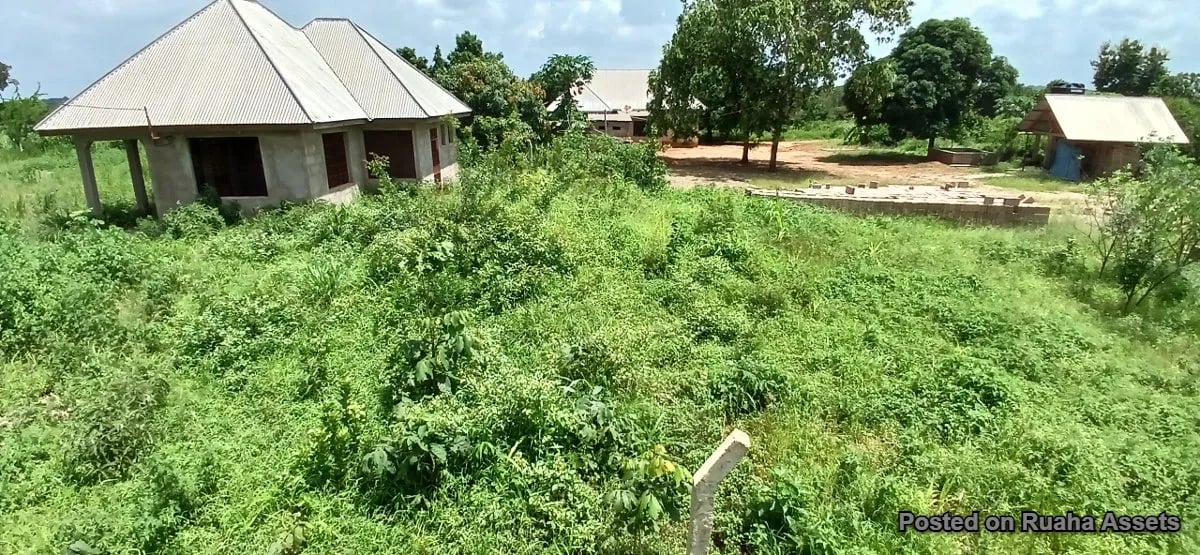 2 acres for sale at Kibaha image 6