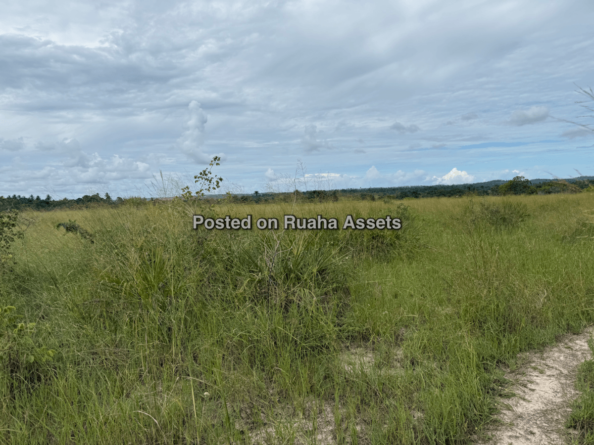 A 10 acre plot for sale at Mkuranga image 3
