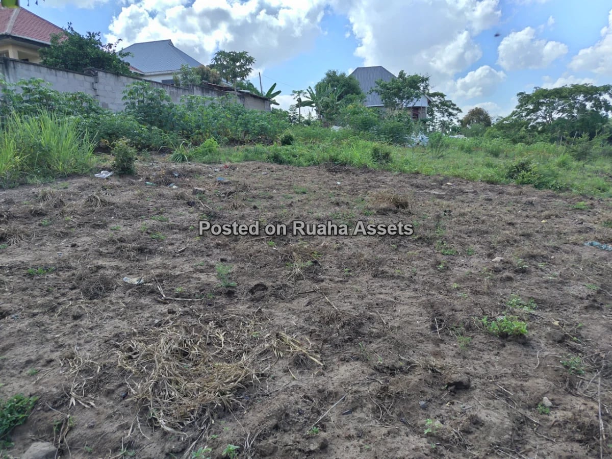 A 600sqm PLOT FOR SALE AT MBEZI MSAKUZI image 5