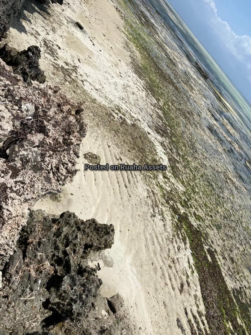 Beach Front plot for sale in Zanzibar image 6