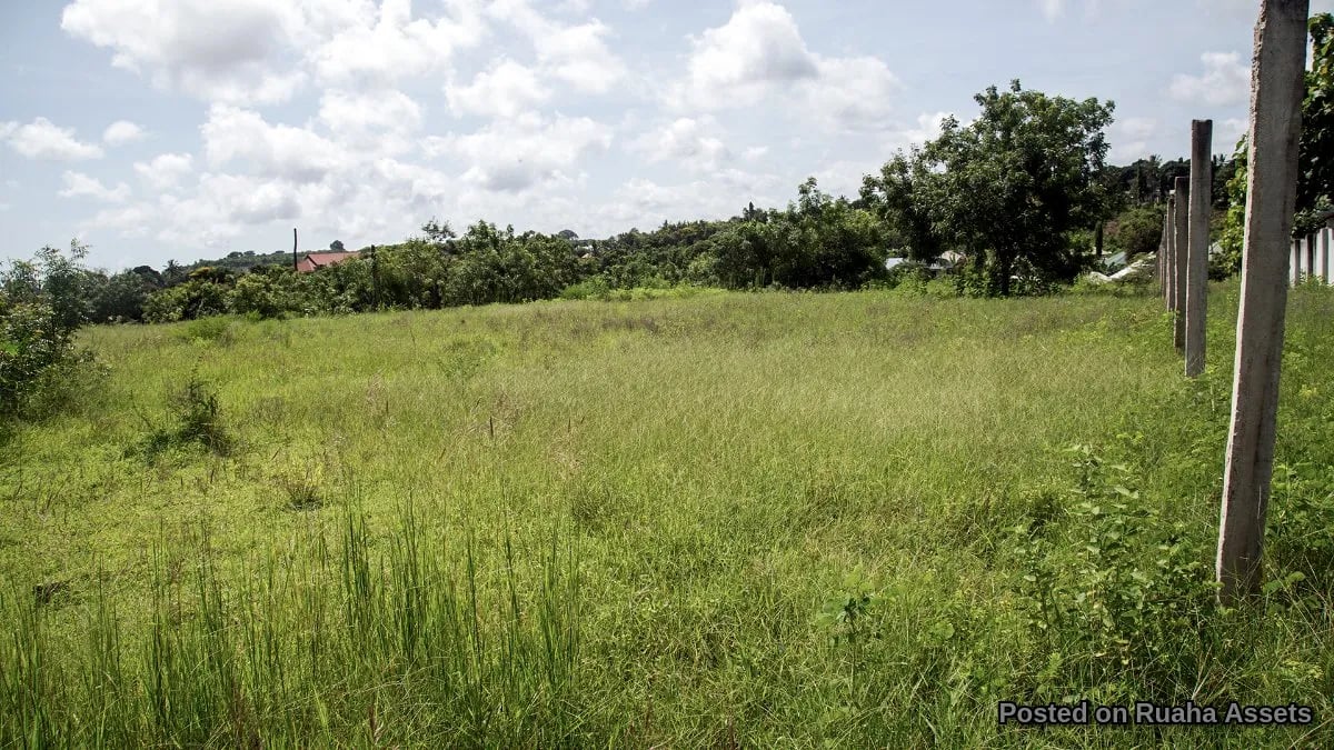 Prime Plot near HKMU, ideal for Apartments, Hotel, B&B image 2