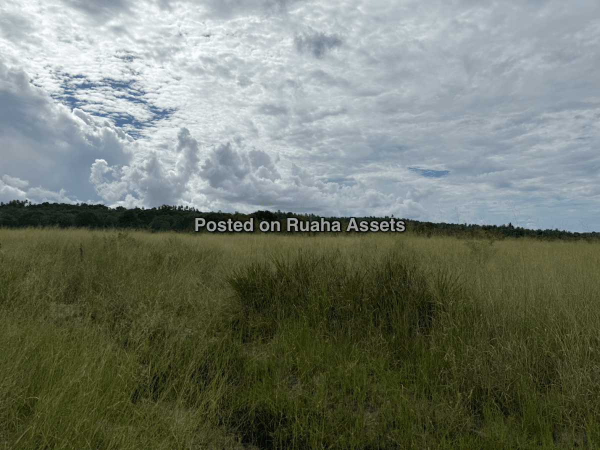 A 10 acre plot for sale at Mkuranga image 2