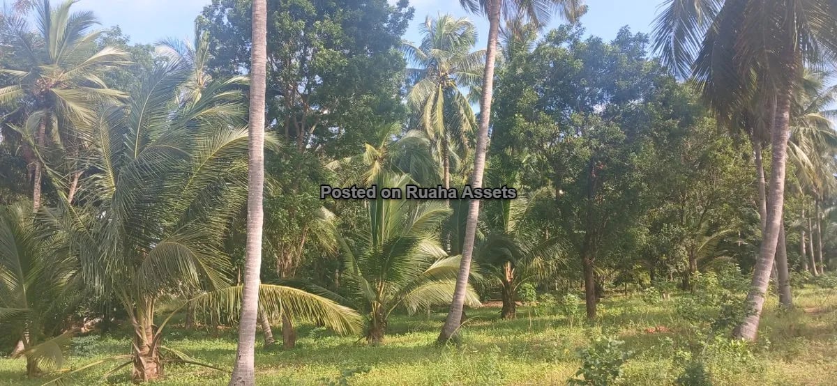 7 Acres of Mixed plots for Sale at Mvuti, Dar es Salaam image 2