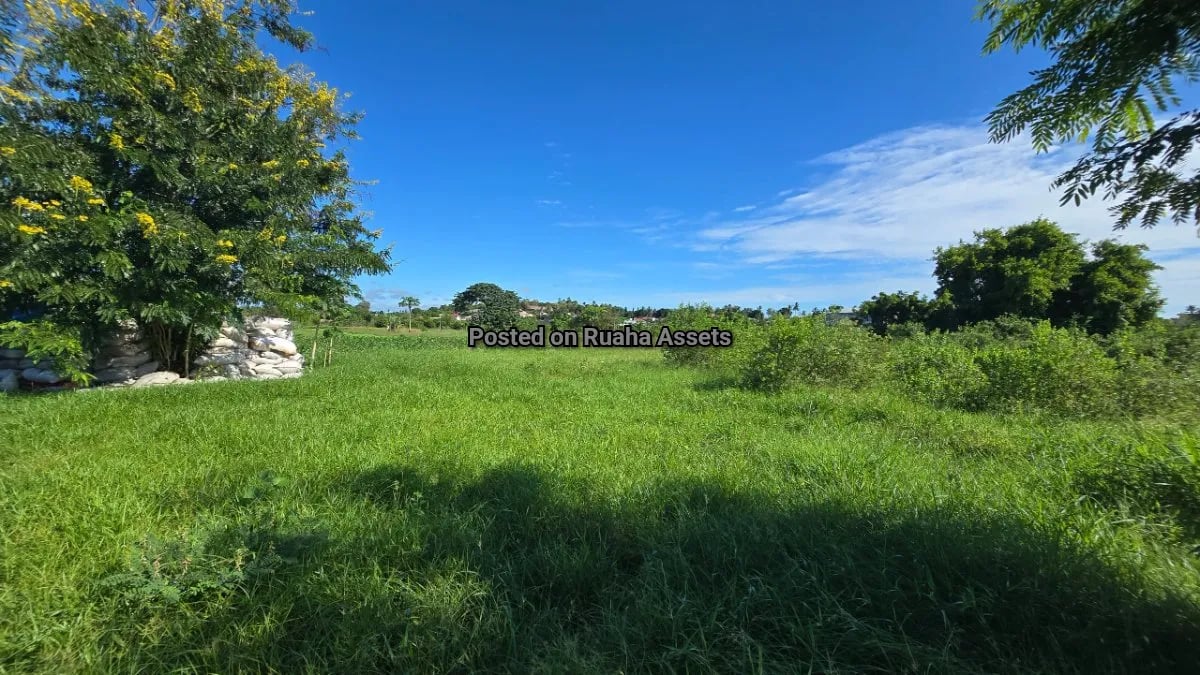 Plot for Sale at Chamazi  image 4