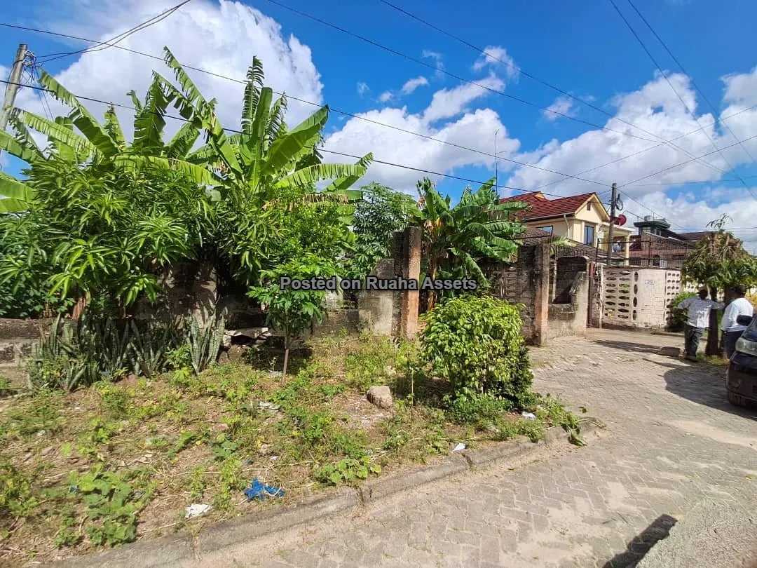 Residential Properties for Sale image 6