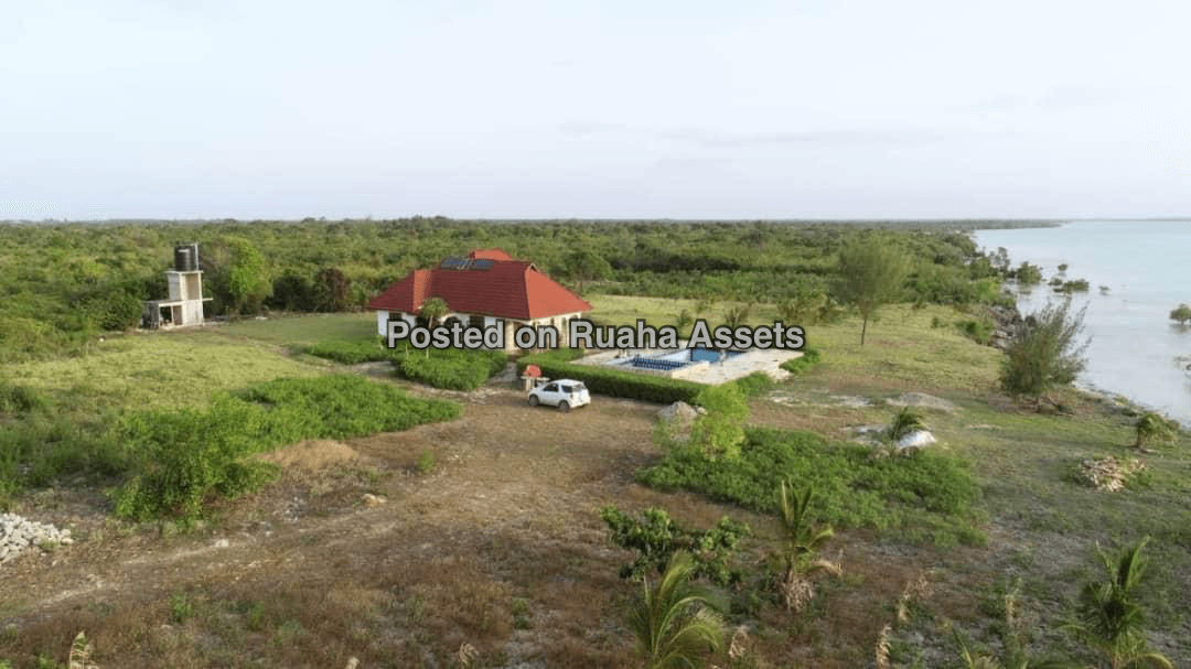 First line Beach plot for sale at Zanzibar Michamvi  image 2