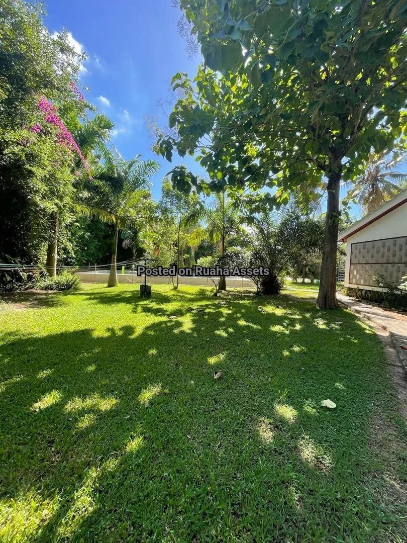Prime Property for Sell at Bahari Beach image 8