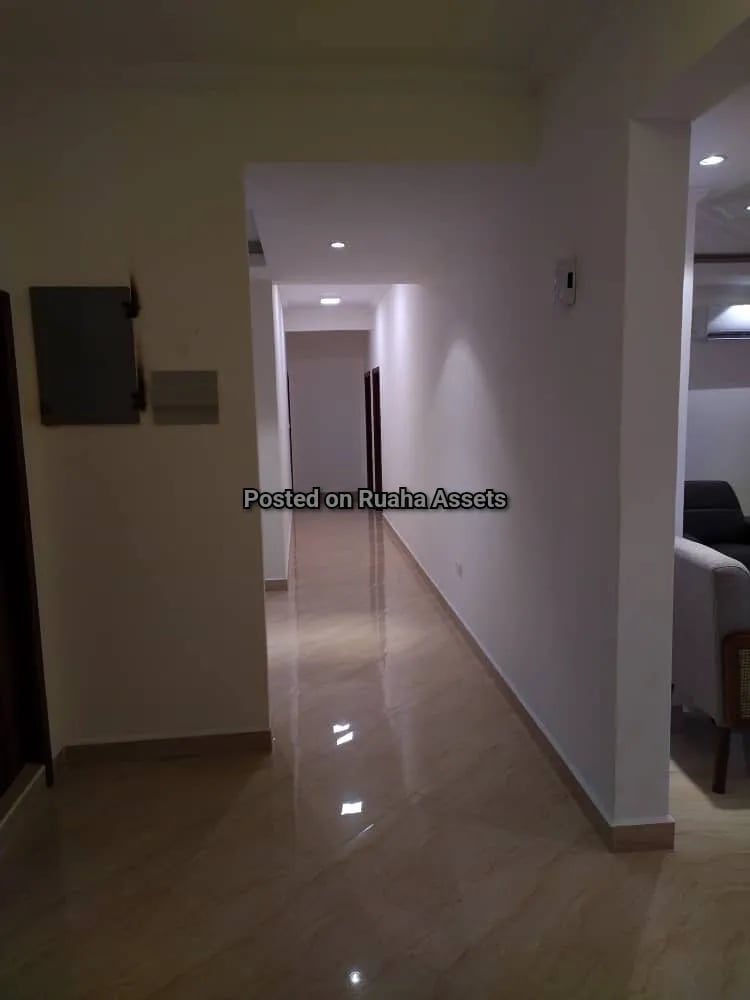 3 Bedroom Penthouse for rent Upanga image 9