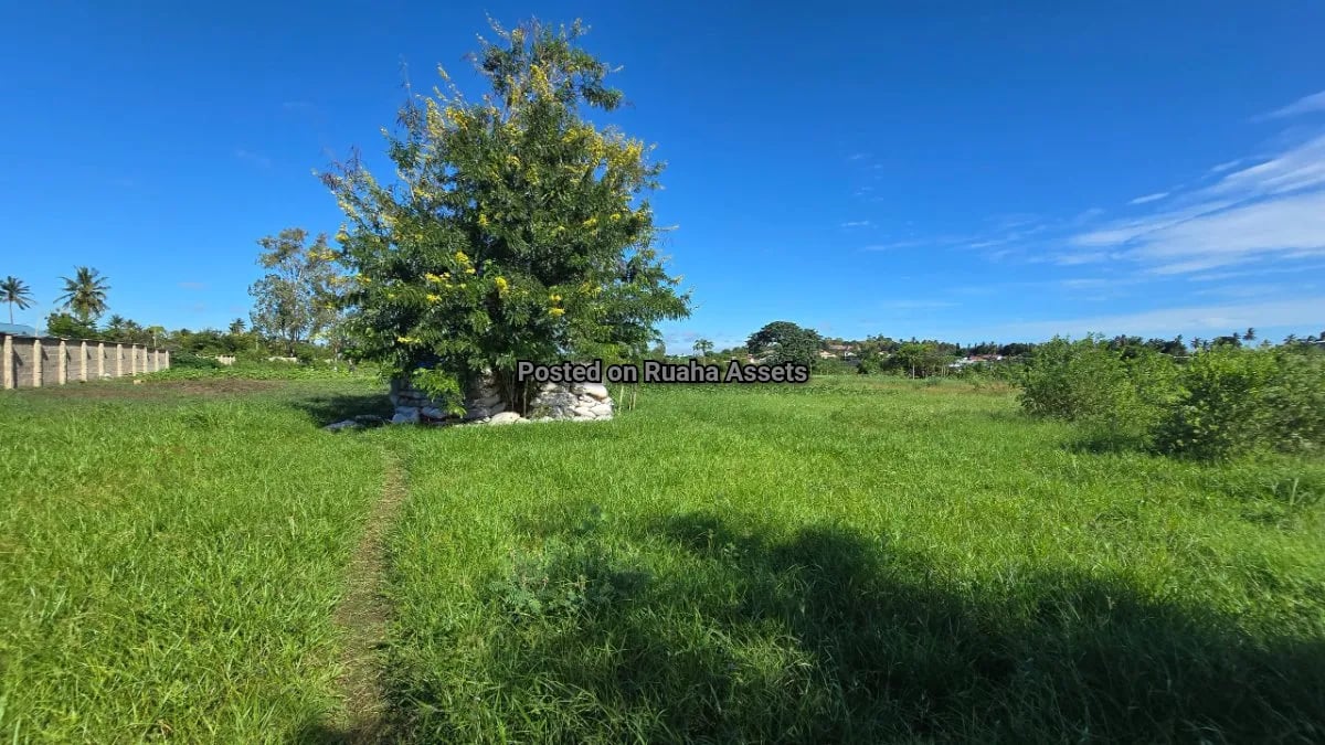 Plot for Sale at Chamazi  image 3