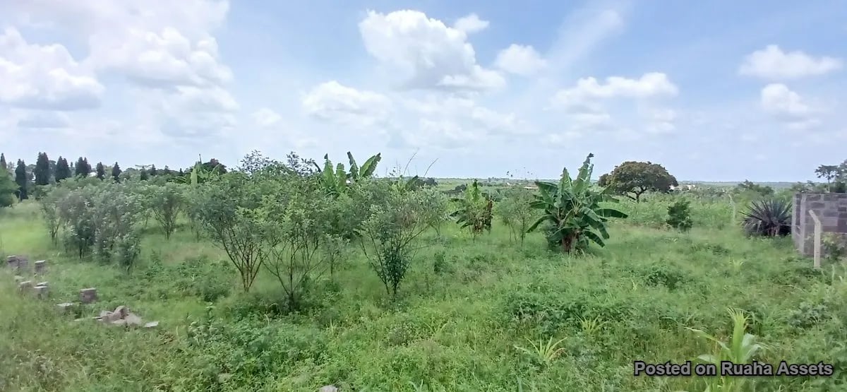 2 acres for sale at Kibaha image 1
