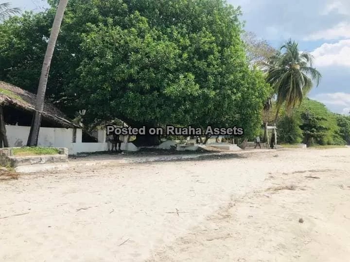 Beach House for Sale at Bagamoyo image 5