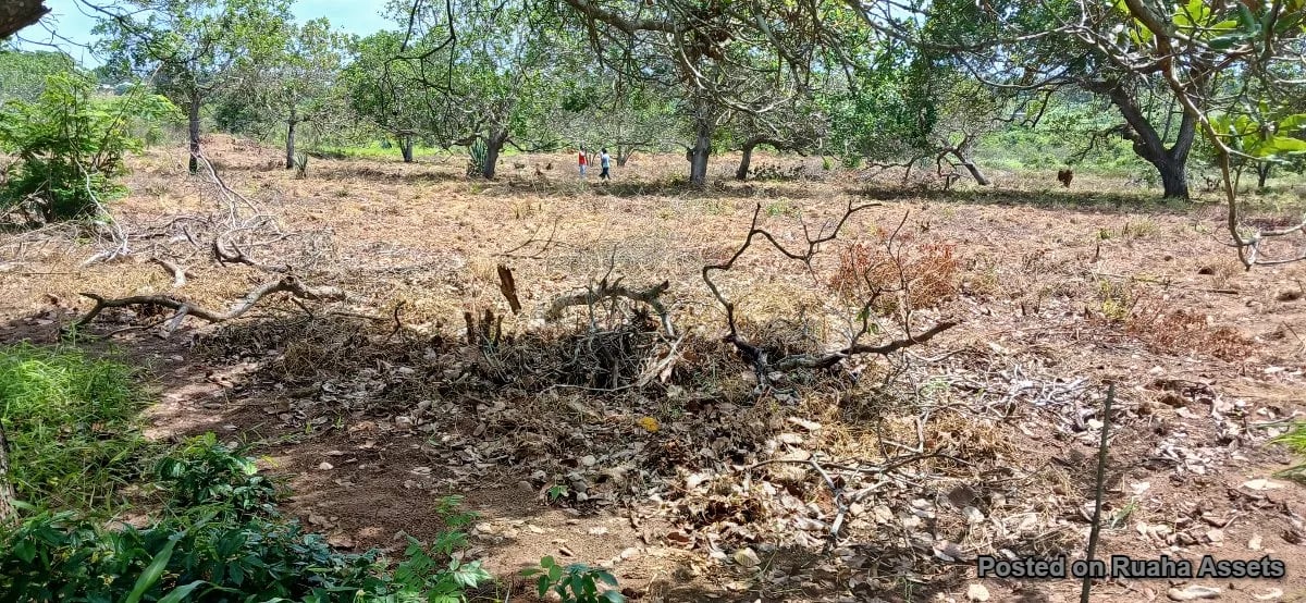 Land for sale at Kibaha - Boko Mnemela. image 4