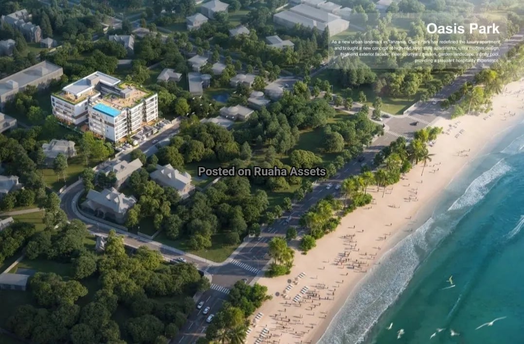 Brand New Apartments for Sell at Oysterbay image 4