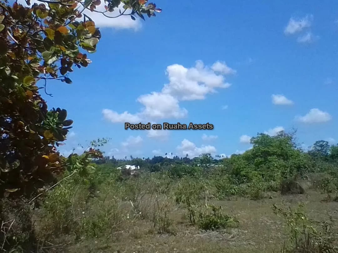 PLOT FOR  SALE AT MKURANGA image 9