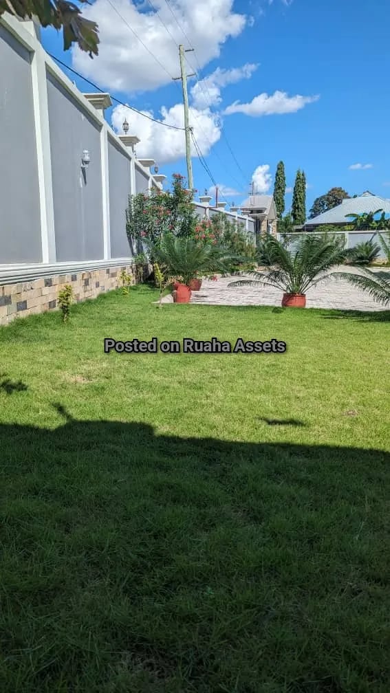 Mansion for Sale at Goba image 4