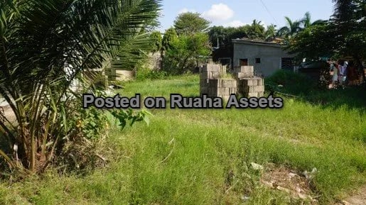 Art Gallery For Sale image 3