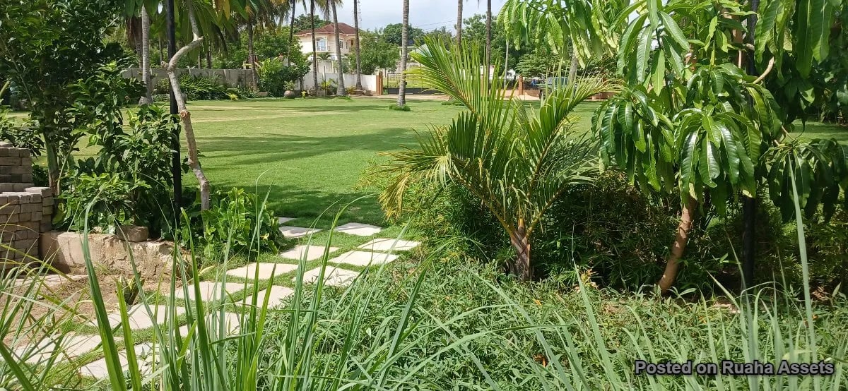 Minazi Garden image 7