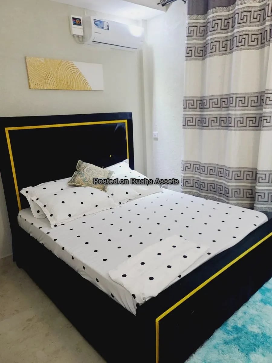 Furnished Apartment for rent at Mikocheni image 8