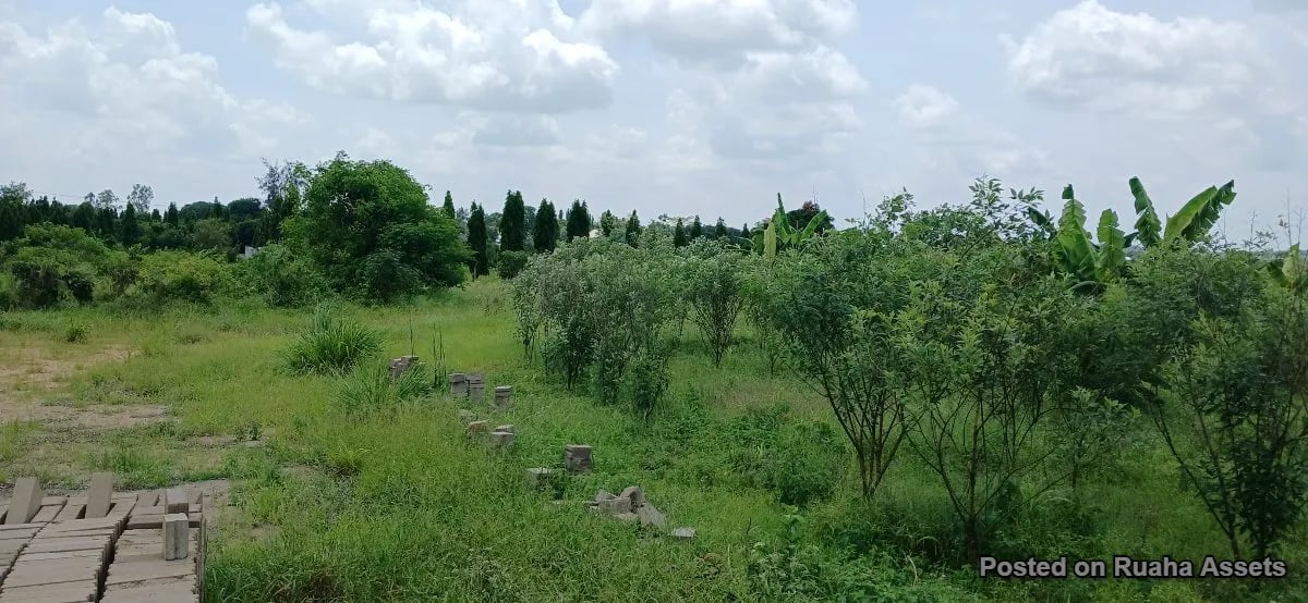 2 acres for sale at Kibaha image 3