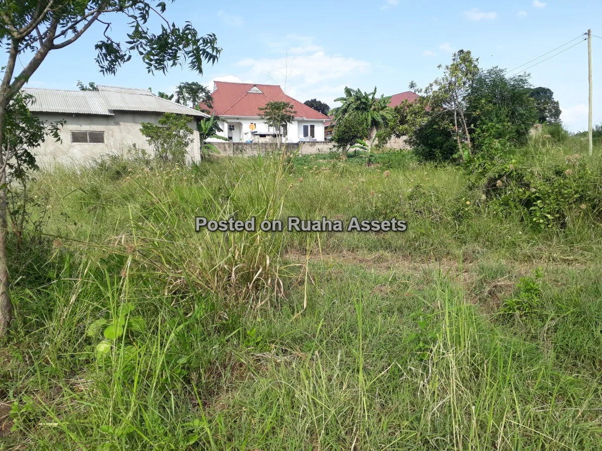 A 600sqm PLOT FOR SALE AT MBEZI MSAKUZI image 2