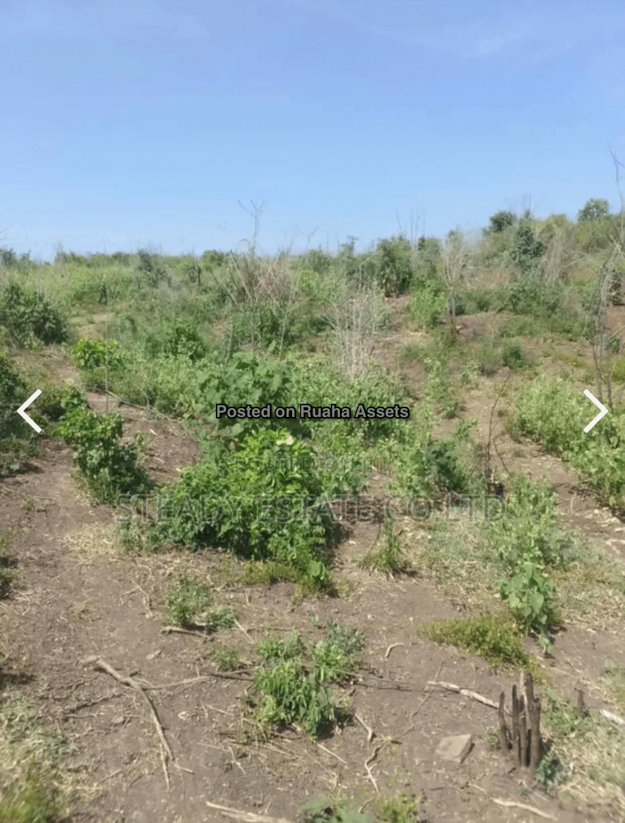 19 Acre farm for sale at Chalinze  image 3