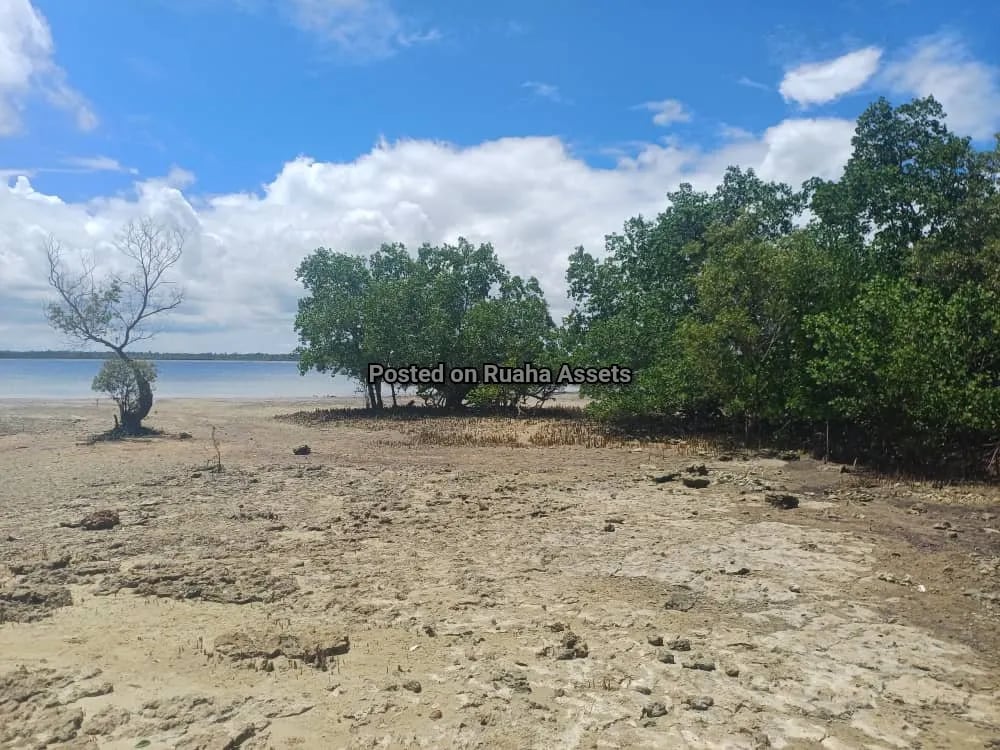 5 Acres Beach plot for Sell at Uzi, Zanzibar image 2