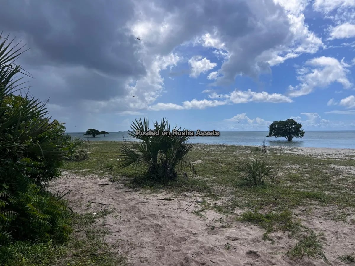 Prime Beachfront Commercial  Plot for Sale - Mjimwema Gezaulole, Kigamboni, Dar es Salaam image 9