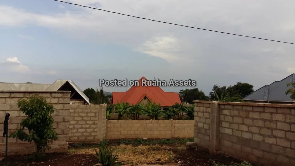 Pagala linauzwa Dampo Arusha image 4