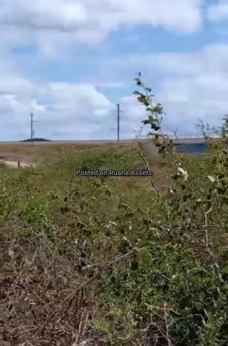 Eneo linauzwa Ihumwa Dodoma image 2