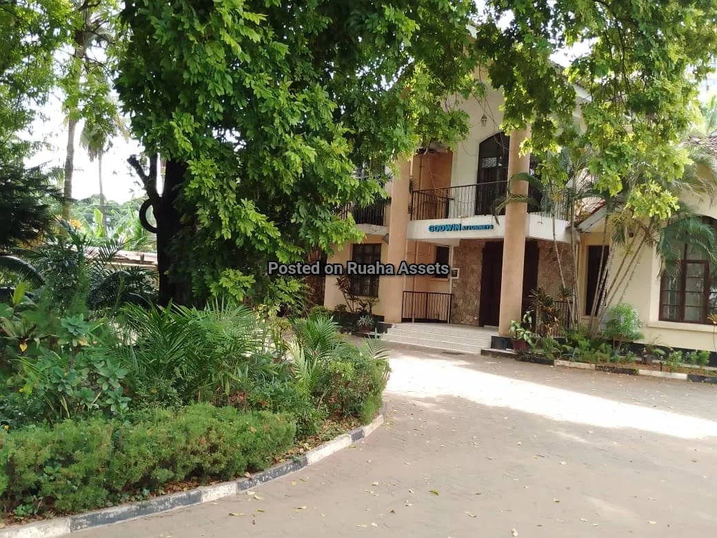 House for Lease at Mikocheni image 8