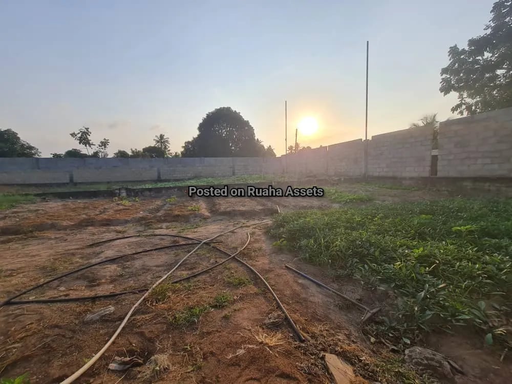 Eneo la Kiwanda Linauzwa Kibaha  image 8
