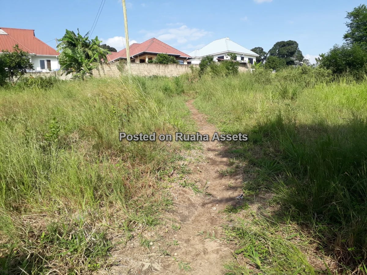 A 600sqm PLOT FOR SALE AT MBEZI MSAKUZI image 3