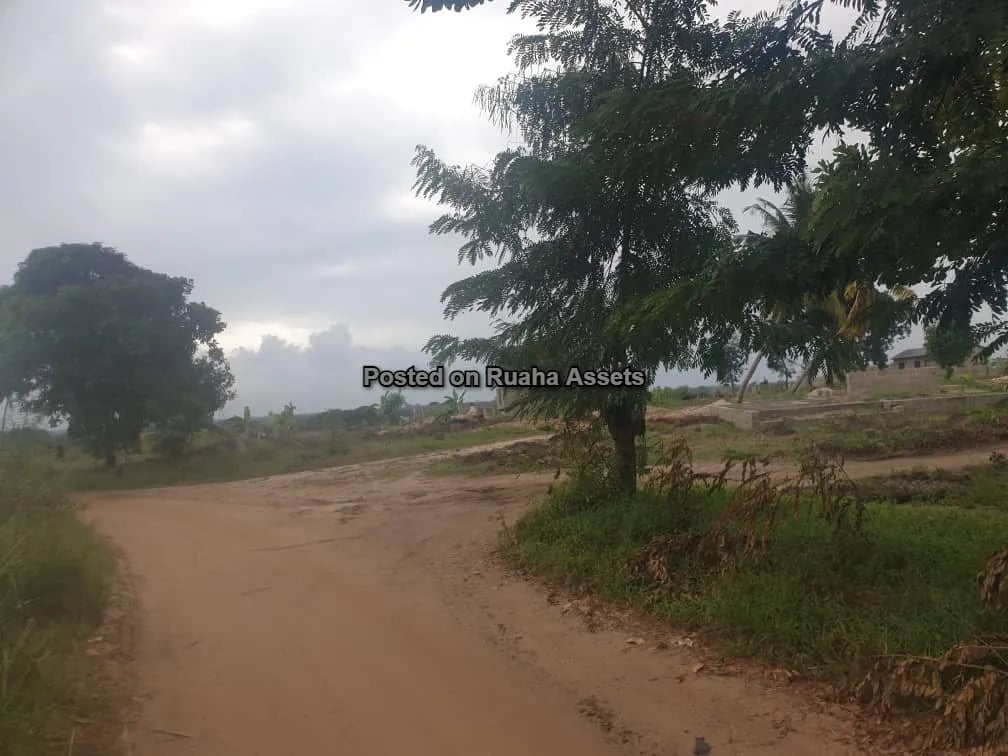 Plot along highway for sale at Mapinga  image 7