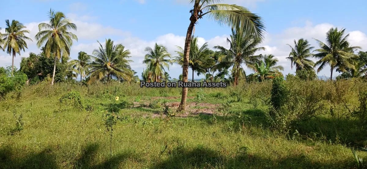 7 Acres of Mixed plots for Sale at Mvuti, Dar es Salaam image 12