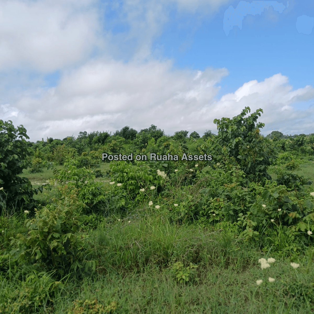 Industrial plots for sale in Kibaha, Misugusugu. image 2