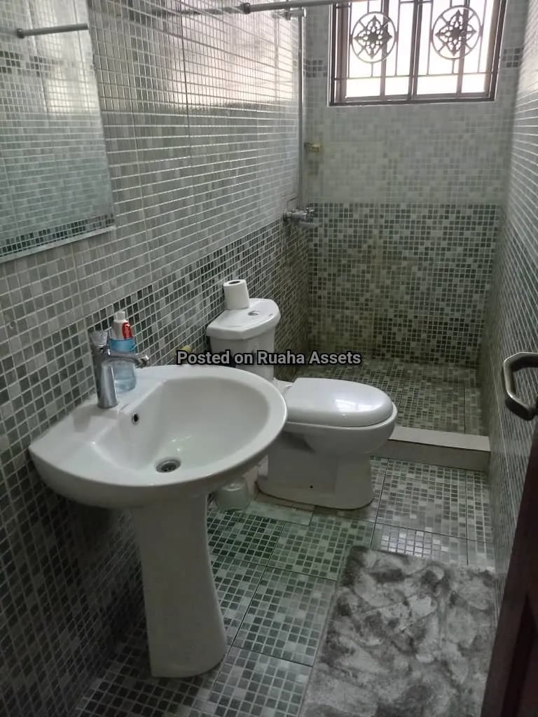 Furnished Two Bedrooms for Rent at Mikocheni image 2