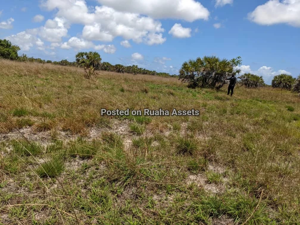 Surveyed Plot for Sale at Kimbiji Kigamboni image 6