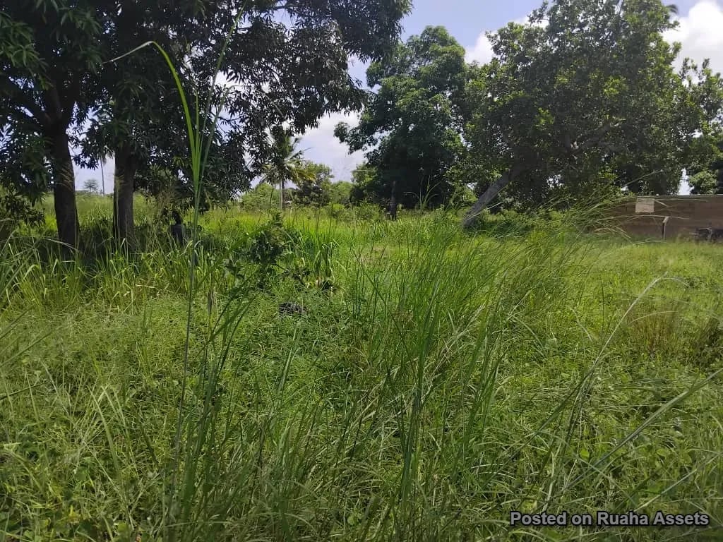 1 acre for sale, Mataya - Bagamoyo image 3