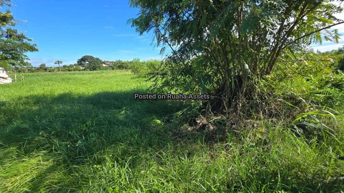 Plot for Sale at Chamazi  image 5
